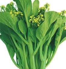 2500+ Seeds Brassica Juncea Choy Sum Mustard Yu Choy Sum Seeds, USA Chinese Broccoli Scallion Chive Asian Vegetable, Cải NGỌt ăn bông (Cải Ngồng) Diaspora