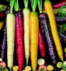 Hart Seed Organic Carrot Rainbow Blend