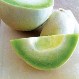 Park Seed Dulce Nectar Melon Honeydew Seeds, Great for Any Climate, Pack of 25 Seeds