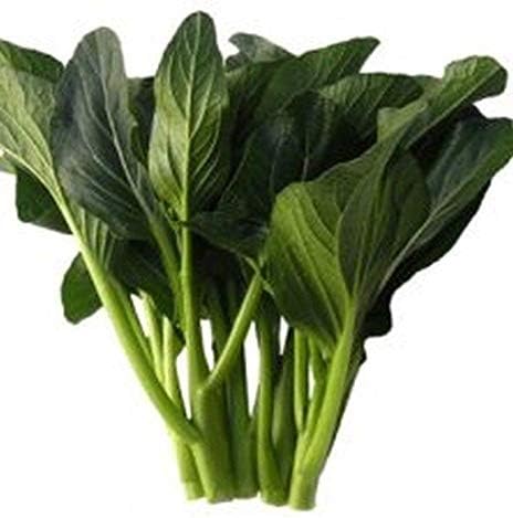 Jung Green Yu Choy Seeds - Produces Dark Green Leaves and is Tolerant to Heat.(50 - Seeds)