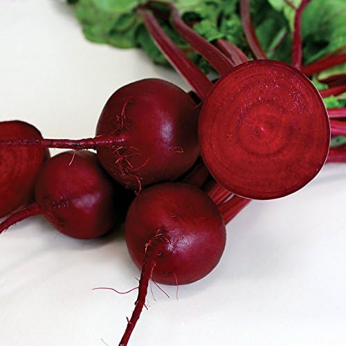 Park Seed Beet Vegatable Plant Seeds, Easy to Grow, Variety of Colors, Spring Garden, Robin Hybrid, Pack of 200