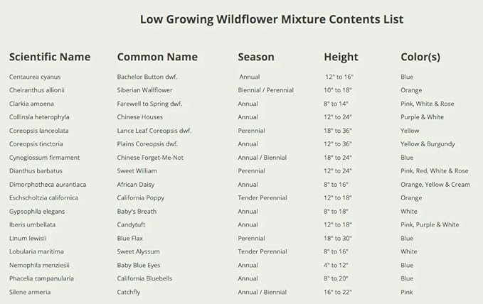 Seed Needs 2 Ounce Low Growing Wildflower Flower Seeds for Planting | Mixture/Blend 17 Varieties | Resealable Package Multicolored Blooms Open Pollinated Mixed Species | Bulk