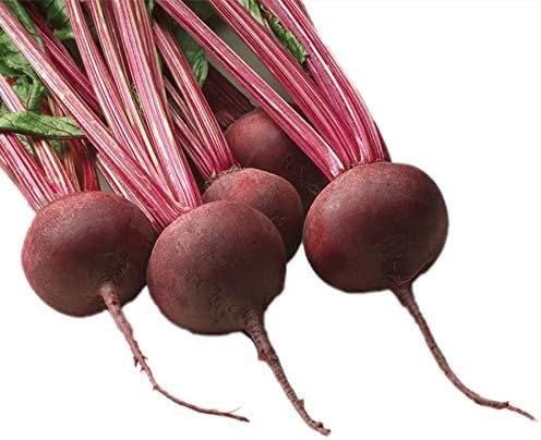 Park Seed Beet Vegatable Plant Seeds, Easy to Grow, Variety of Colors, Spring Garden, Red Ace Hybrid, Pack of 200