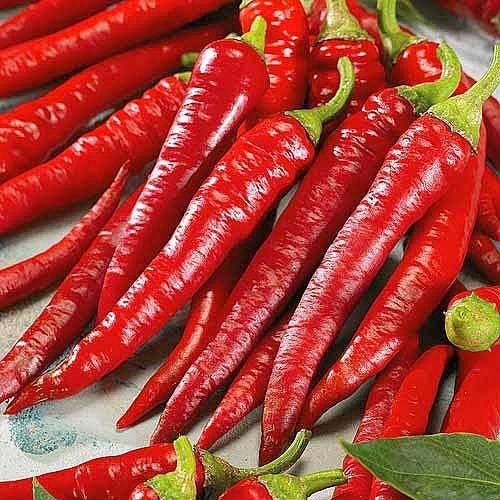 Seeds Fire Hot Pepper Chili Heirloom Vegetable for Planting Non GMO