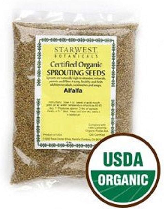 Alfalfa Sprouting Seeds Organic