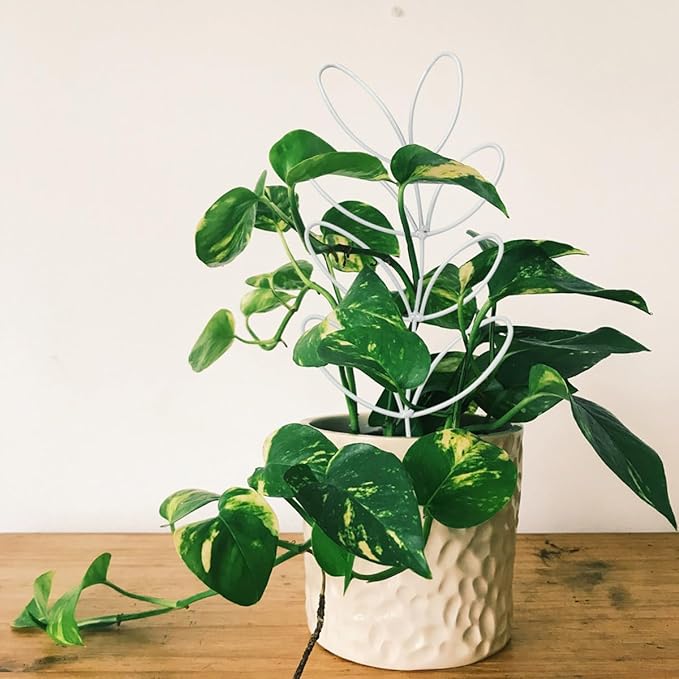 2Pack Indoor Plant Trellis Metal Wire Garden Trellis ,Small Climbing Leaf Shape Trellis for Garden Potted Plant Houseplant (Whiter)