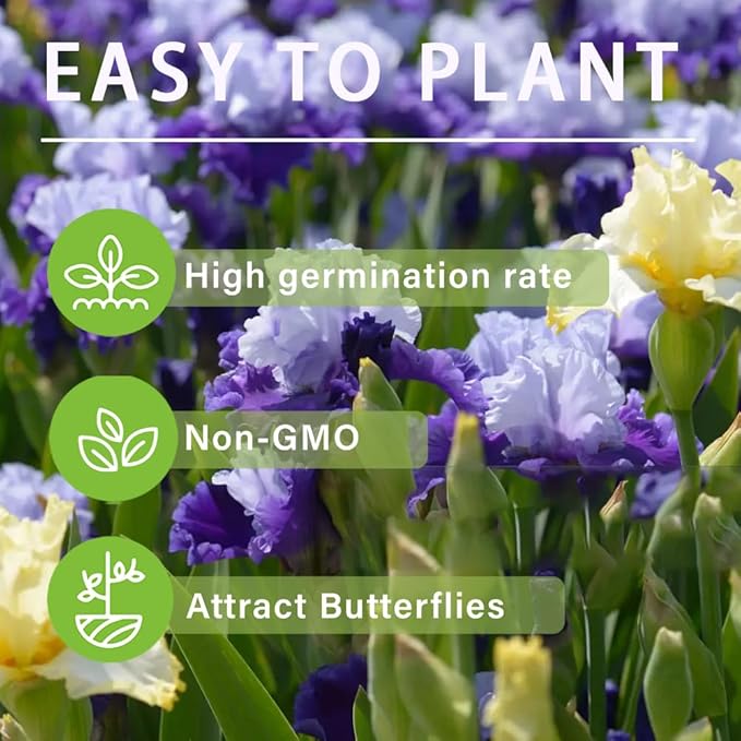 200+Mixed Rare Iris Flower Seeds to Plant Outdoor- Perennial Beautiful Blooms for Your Garden Home