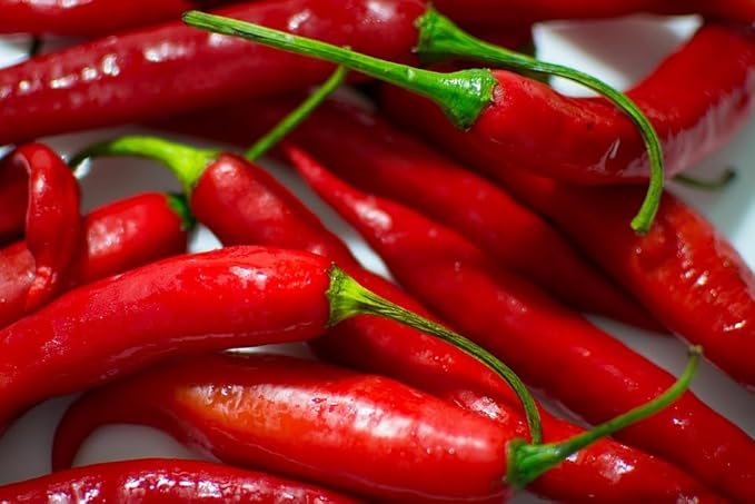 Cayenne Pepper Seeds for Planting, 200 Hot Pepper Seeds Cayenne Jalapeno, Non-GMO Long Slim Cayenne Hot Pepper Seeds Indoor & Outdoor, Heirloom Cayenne Pepper Seeds Bulk for Home Garden