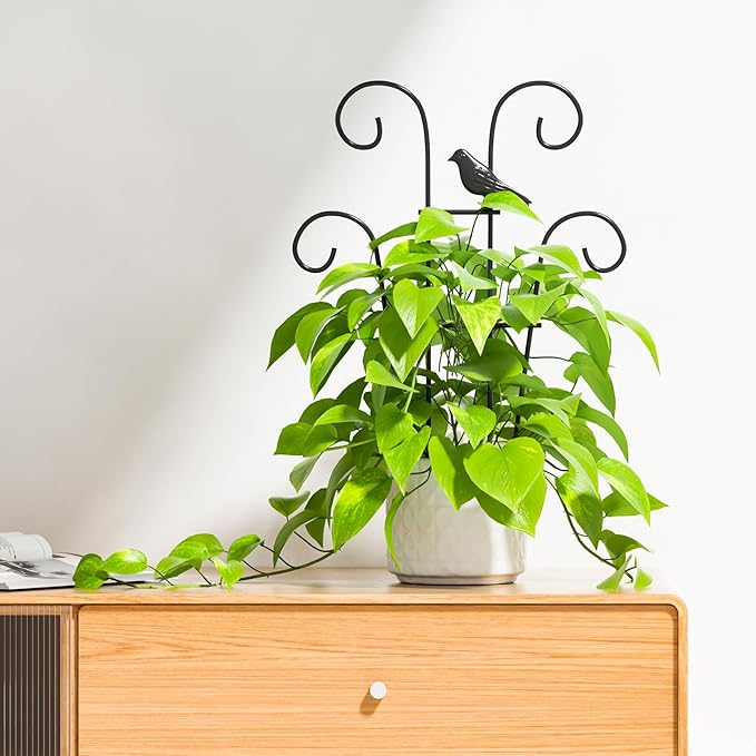 Indoor Plant Trellis for Climbing Plants, Stackable Garden Trellis for Potted Plants, Small House Plant Trellis for Vine Ivy Flower Plant Support Outdoor DIY Metal Trellis 3 Pack, Bird Design