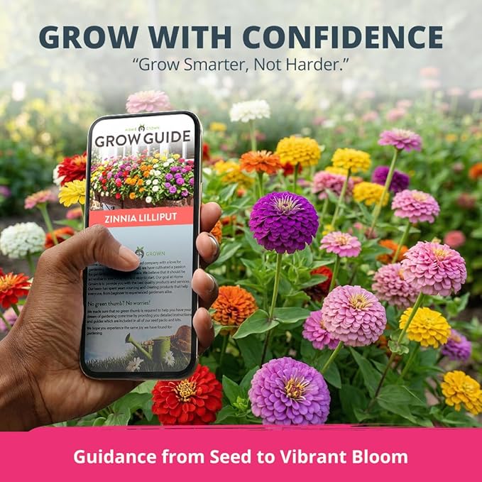HOME GROWN Zinnia Lilliput Mix Flower Seeds – 600 Seeds (4g) Zinnia elegans – Colorful Dwarf Zinnia Seed Mix for Planting Spring 2026 for Garden Beds, Containers & Cut Flowers, Easy Grow Zinnia Seeds