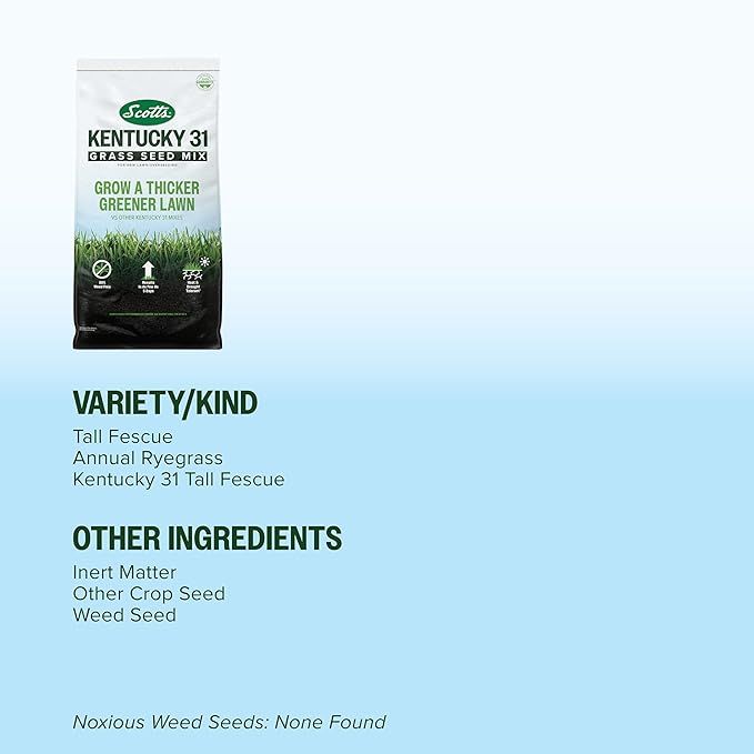 Scotts Kentucky 31 Grass Seed Mix for New Lawns or Overseeding, Grows Thicker and Greener vs. Other Kentucky 31 Mixes, Covers up to 1,750 sq. ft.