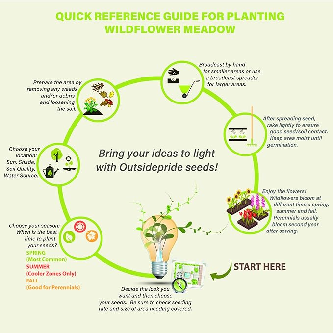 Outsidepride Blue Flax Seeds - 1/4 lb Perennial Flower Seeds for Planting, Self-Seeding, Drought-Tolerant w/Compact Growth, Ideal for Small Gardens, Meadows, Borders, or Mass Plantings
