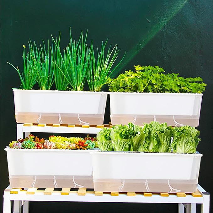 FAMZ Self Watering Pots for Indoor Plants 3 Pack Transparent Rectangular Planting Self Watering Planter,Vegetable Planters for Windowsill Patio Garden Balcony Home Porch Yard Indoor Outdoor (White)