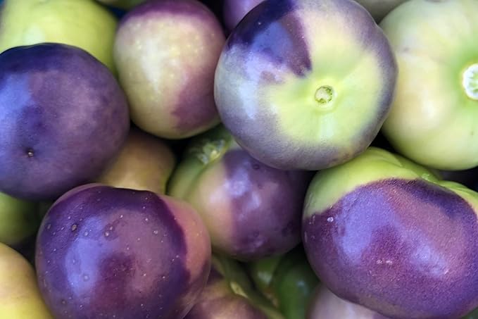 Plant Good Seed Organic Purple Tomatillo Seeds - Pack of 50, Heirloom Seeds for Planting Vegetables - Gardening Supplies, Fruit, Tomato, Vegetable Garden - Non-GMO, Open Pollinated, from USA