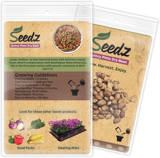 Organic Bean Seeds, Appr. 115, Pinto Dry Bean, Heirloom Vegetable Seeds, Certified Organic, Non GMO, Non Hybrid, USA