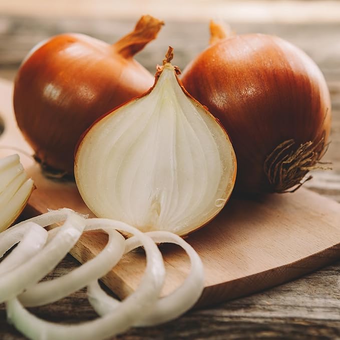 Back to The Roots 100% Organic Seed Packet - Onion 'Yellow Sweet Spanish Utah' 200mg