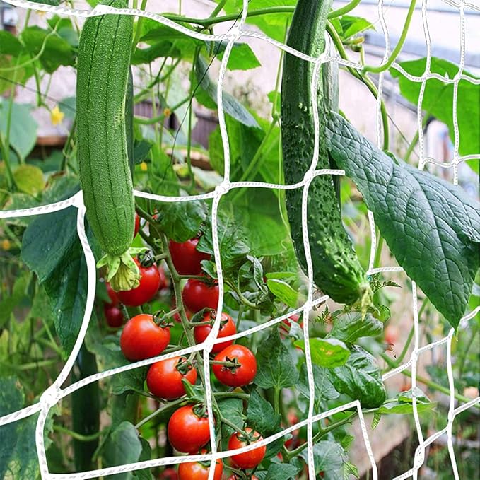 ππ«ππ₯π₯π’π¬ πππππ’π§π , CANAGROW Heavy-Duty Garden Plant Trellis Netting for Climbing Plants, Outdoor Indoor Grow Net for Beans Tomatoes Peas Pumpkin Flowers, π π± ππππ, Pack of 2