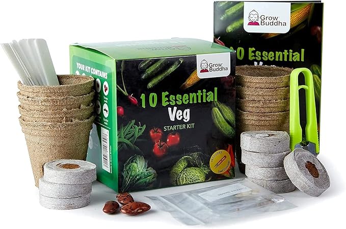 Vegetable Seeds Gift Set - Easily Grow Your Own 10 Vegetable Seeds Starter Kit | Beginner Friendly Vegetable Grow Kit - Unique Gift Idea