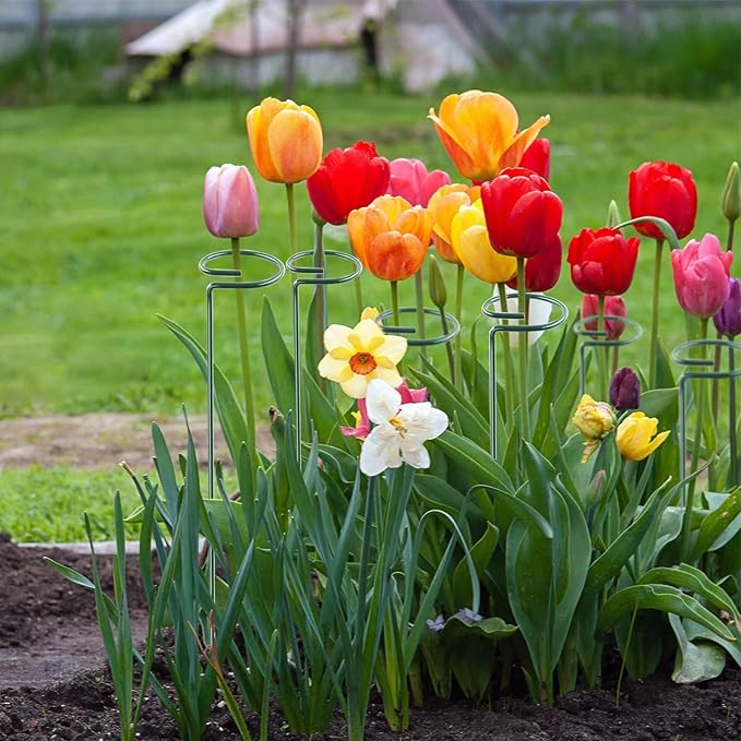 12 Pack 16 Inch Plant Support Stakes, Metal Single stemmed Flower Support Hoops,Garden Plant Stakes Plant Prop for Amaryllis Orchid Lily Rose Peony Tomatoes Gladiolus