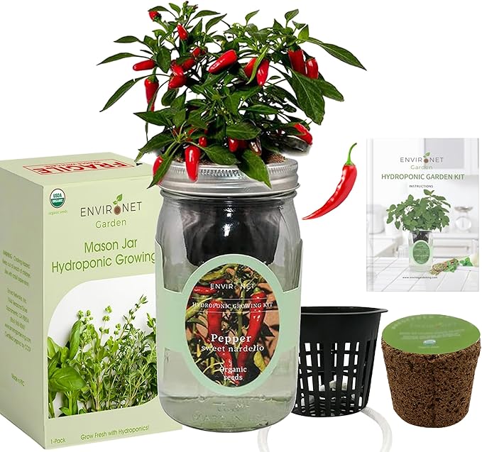Hydroponic Pepper Growing Kit, Self-Watering Mason Jar Vegetable Starter Kit Indoor, Grow Peppers from Organic Seeds (Sweet Nardello Pepper)