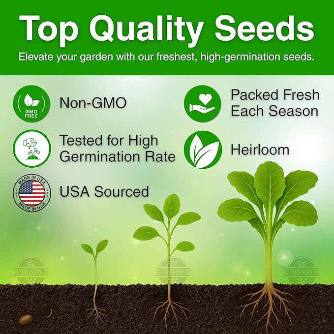 1500+ Florida Broadleaf Mustard Seeds for Planting, Packed for 2026 Non-GMO Seeds β Fast Growing, Heat and Cold Tolerant β High-Yielding, Heirloom Seeds