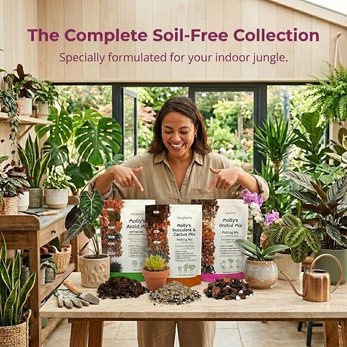 Molly's Orchid Potting Mix - Premium Gritty Soilless Orchid Mix - Chunky High Drainage vs Standard Potting Soil for Indoor Plants - Contains Bark, Coco Chips, Akadama, Pumice, Lava Rock 3 Dry Quarts
