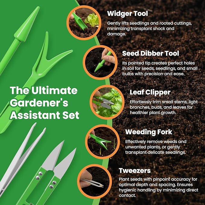 7000+ Organic Lettuce Seeds Collection - 7 Variety Heirloom Lettuce Mix Romaine, Iceberg Lettuce etc Non-GMO, Seeds for Planting Vegetable for Hydroponics or Garden (7 PCS)
