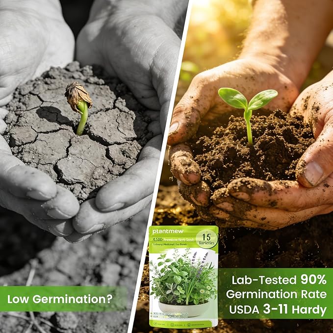 Herb Seeds 15-Pack ā 4,500+ Non-GMO Heirloom Seeds for Planting ā Indoor & Outdoor Herb Garden Kit with Basil, Cilantro, Rosemary, Thyme, Dill, Sage ā Medicinal & Culinary Herb Seeds Variety Pack