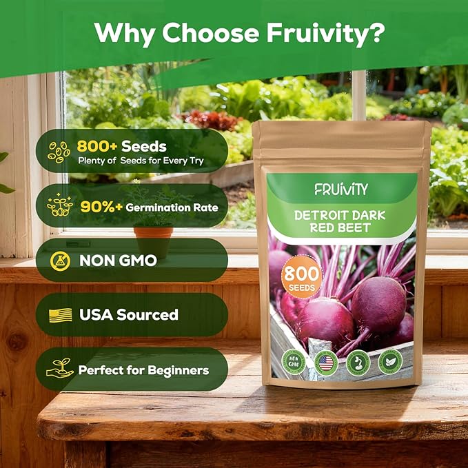 800+ Heirloom Fruivity Detroit Dark Red Beet Seeds for Planting-Non-GMO Vegetable Seeds, High Germination, USA Grown, for Home Garden & Fresh Beets