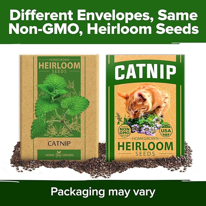 HOME GROWN Non GMO Catnip Seeds (Bulk Pack) Heirloom Herb 2,116 Seeds - Indoor or Outdoor Seed - High-Germination Cat Nip - Cat Safe Plants (Nepeta cataria)