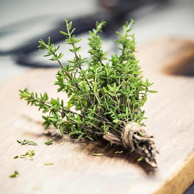Back to The Roots 100% Organic Seed Packet - Thyme 'English' 70mg