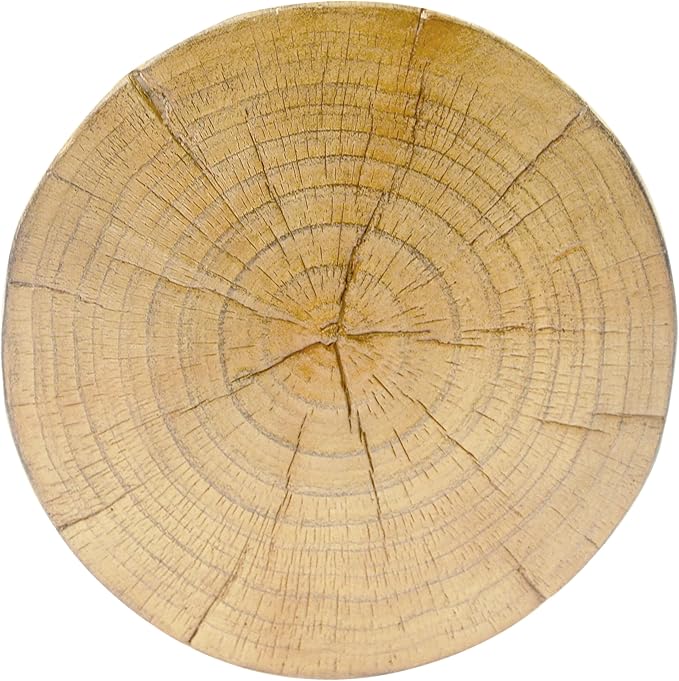 Christopher Knight Home Novi 26.57" H Lightweight Concrete Outdoor Side Table, Hollow Round-Shaped Patio End Table, MGO Outdoor Coffee Table, Garden Plant Stand Indoor, Wood-Like Texture, Natural