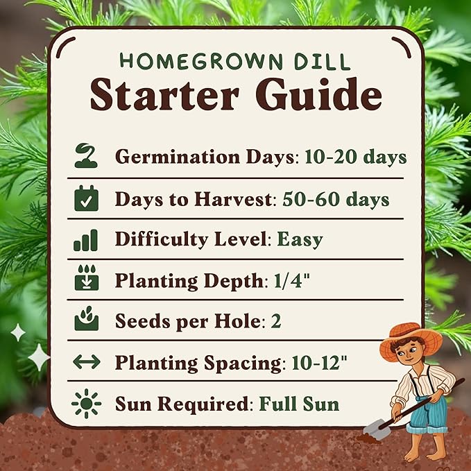 Seedboy Organic Dill Seeds for Planting Indoor and Outdoor, Non-GMO and USDA Certified Herb Seed Packet for Hydroponic Garden Indoor or Planting Outdoors (Bouquet Dill)