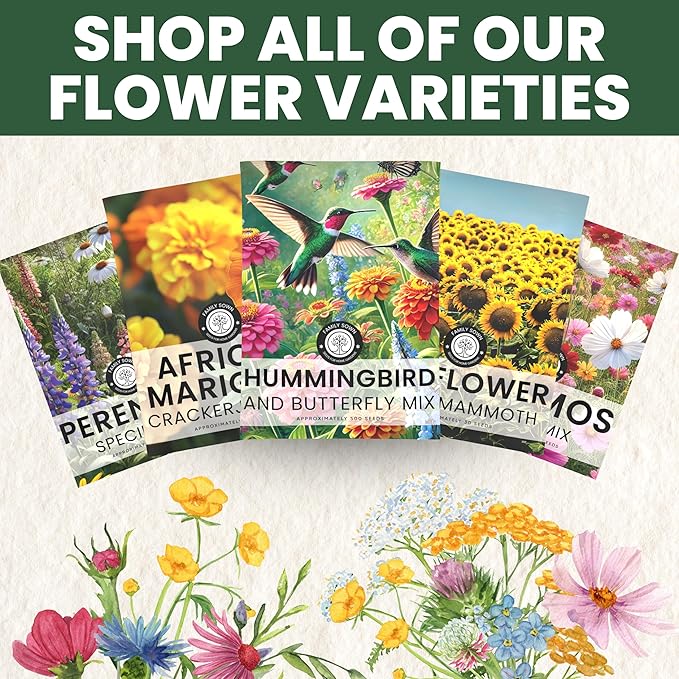 Hummingbird Butterfly Mix - Large 1 Ounce Packet - 7,500 Flower Seeds for Planting - Wildflower Mix