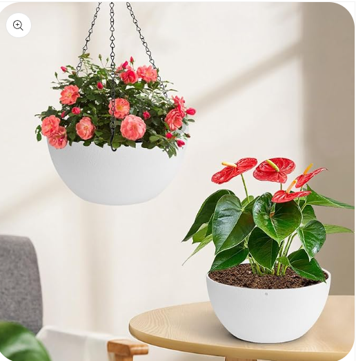 🌿 “Running Out of Floor Space? Use the Air.” – How Hanging Planters Transform Your Home