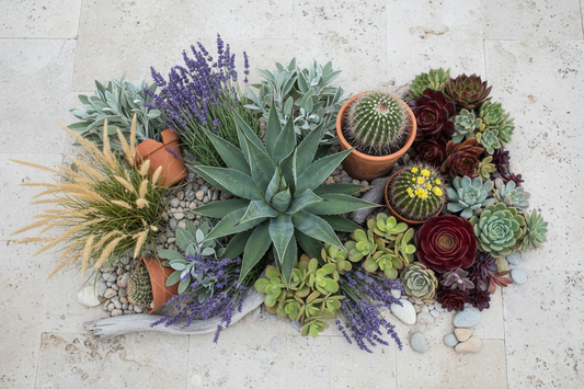 7 Beautiful Plants That Thrive With Less Water