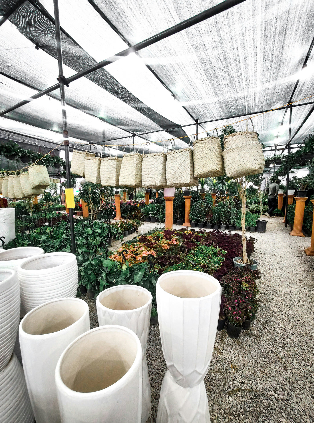 Watering the Right Way: Keeping Soil Moist Without Overwatering