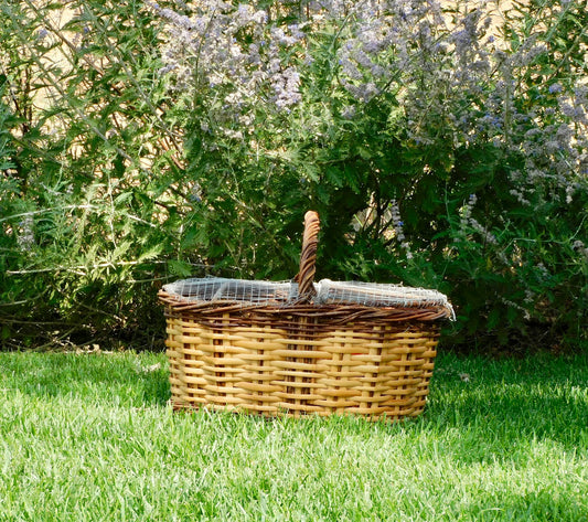 The Basket That Saved My Morning Routine: How Simple Storage Made My Days Easier