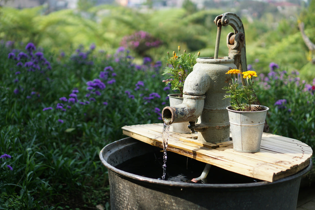 🌼  Essential Garden Tools to Keep Your Outdoor Space Beautiful All Year