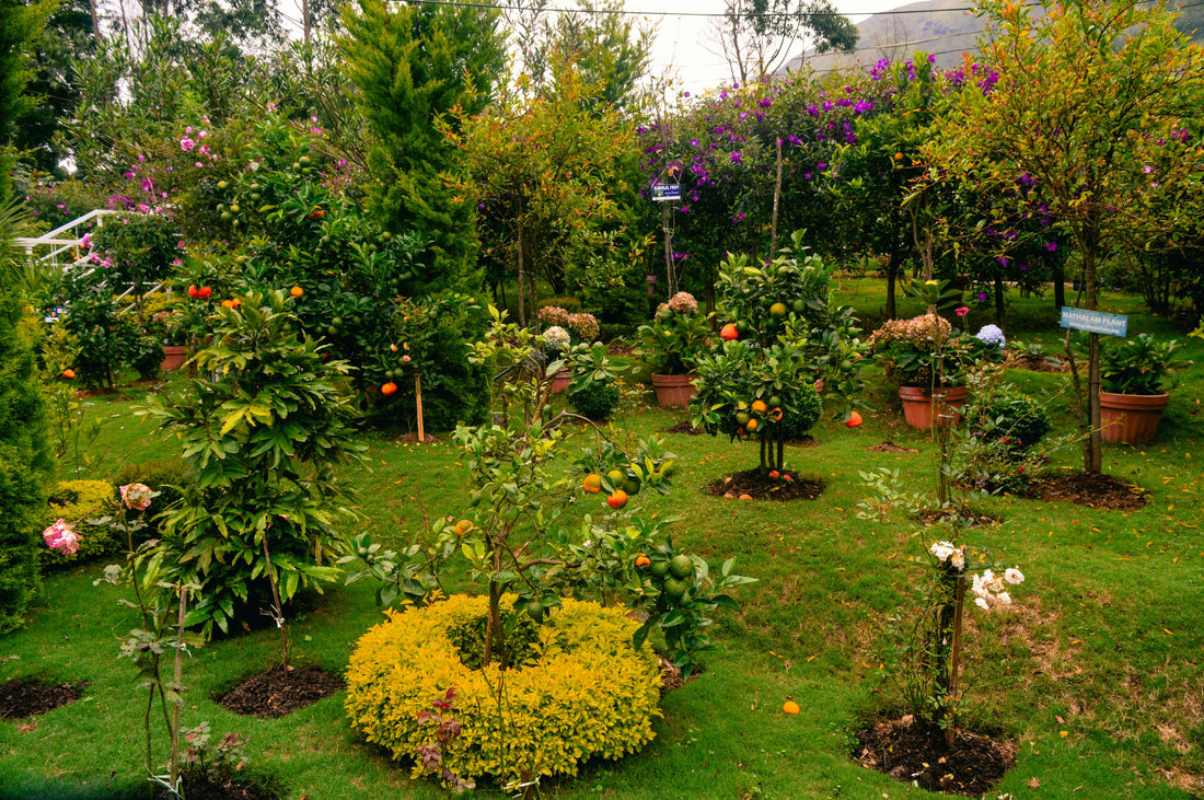 Soil & Cleanup Tools That Keep Your Garden Organized