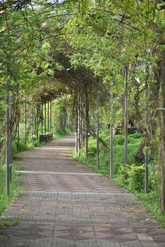 Must-Have Digging Tools for a Healthy Garden Foundation