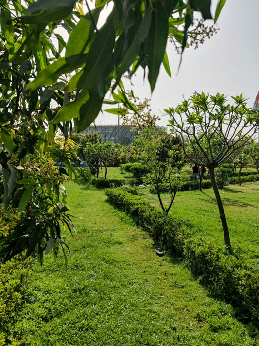 Power Tools That Make Gardening Faster and Easier