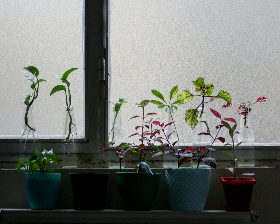 Preventing Soil Erosion and Protecting Your Garden Beds