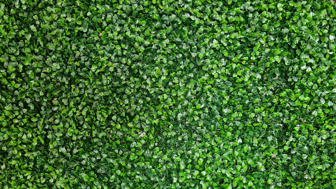 The Allergy-Friendly Alternative to Real Greenery