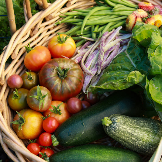 Fall Garden Care: Preparing Your Plants for Cooler Weather
