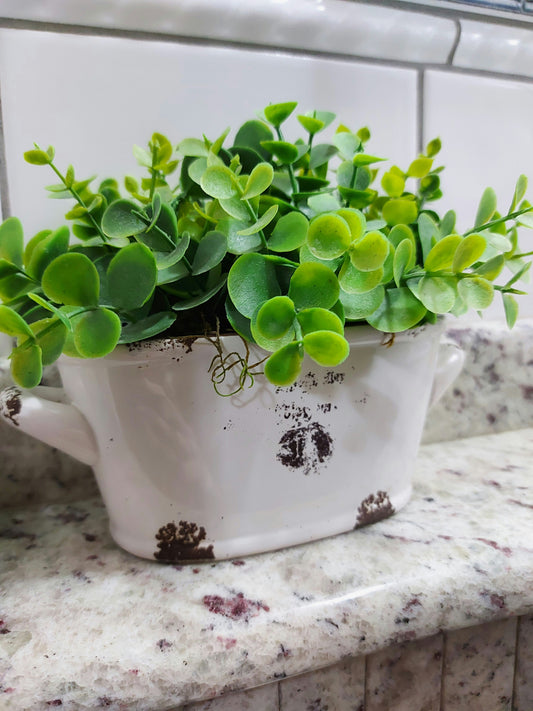 Safe, Clean, and Pest-Free Decorating