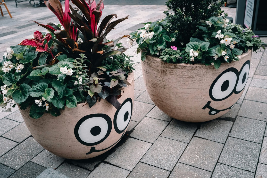 Sustainable Garden