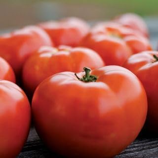 Park Seed Variety of Tomato Seeds, Planting Vegetables, Easy to Grow, Non-GMO, Perfect for Harvesting, Park's Legacy, Pack of 250