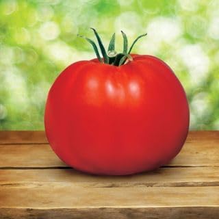 Park Seed Variety of Tomato Seeds, Planting Vegetables, Easy to Grow, Non-GMO, Perfect for Harvesting, Whopper CR Improved Hybrid, Pack of 1000
