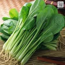 2500+ Seeds Brassica Juncea Choy Sum Mustard Yu Choy Sum Seeds, USA Chinese Broccoli Scallion Chive Asian Vegetable, Cải NGỌt ăn bông (Cải Ngồng) Diaspora